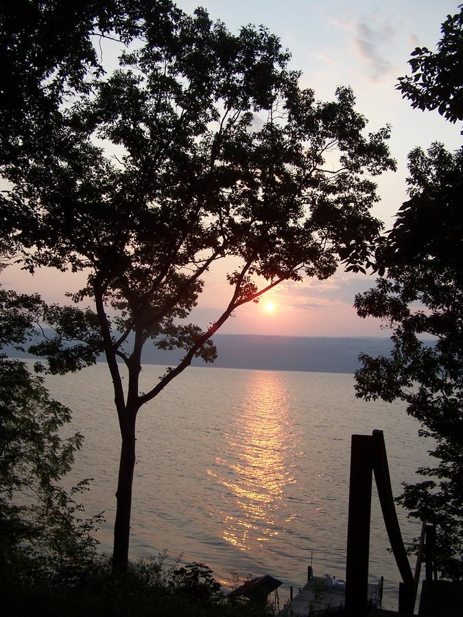 Sunrise Landing Bed And Breakfast Dundee Kültér fotó
